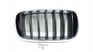 7316076 Решетка радиатора BMW X5 F15 Арт e8802501, вид 1
