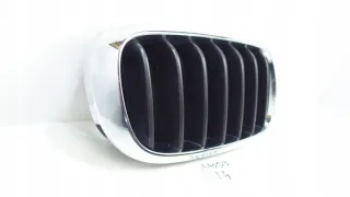 7316076 Решетка радиатора BMW X5 F15 Арт e8802501, вид 2