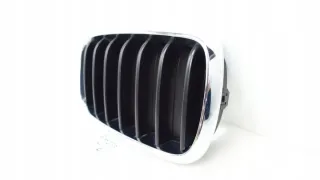 7316076 Решетка радиатора BMW X5 F15 Арт e8802501, вид 3