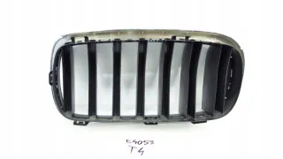 7316076 Решетка радиатора BMW X5 F15 Арт e8802501, вид 4