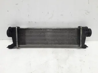A1685000000 Интеркулер Mercedes A W168 Арт e8814112, вид 1