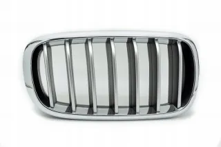 7316054 Решетка радиатора BMW X5 F15 Арт e8834351, вид 1