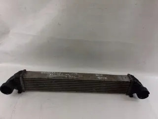 A1695000000-1 A1695000900, A1695000000, A1695000000 Интеркулер Audi A2 Арт e8911798, вид 1
