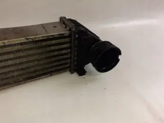 A1695000000-1 A1695000900, A1695000000, A1695000000 Интеркулер Audi A2 Арт e8911798, вид 4