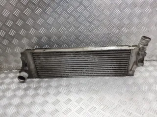 8200115540D Интеркулер Renault Scenic 2 Арт e9115356, вид 1