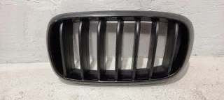 7316075 Решетка радиатора BMW X5 F15 Арт e9281109, вид 1