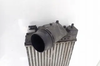 14461-4EB0A Интеркулер Nissan Qashqai 2 Арт e9313121, вид 4