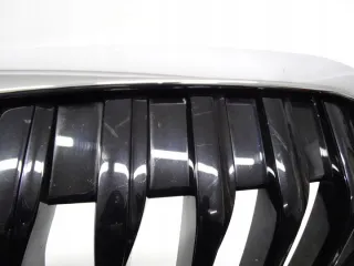 7450957 Решетка радиатора BMW 1 F40 Арт e9319463, вид 5