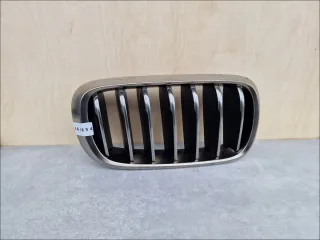 51137349388 3G654 Решетка радиатора BMW X5 F15 Арт e9319645, вид 1