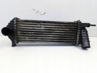 8200427469 Интеркулер Renault Kangoo 2 Арт e9332850, вид 2
