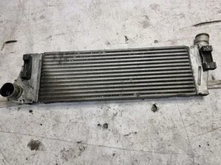 8200115540 Интеркулер Renault Scenic 2 Арт e9391509, вид 1
