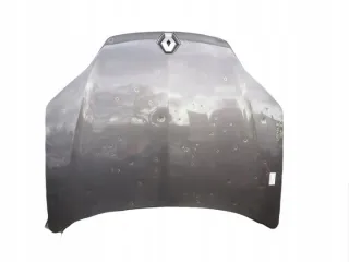 651000021R Капот Renault Laguna 3 Арт e9557343, вид 1