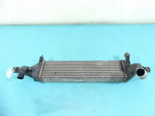 Y8396005, 14461-BB50B Интеркулер Nissan Qashqai 1  Арт e9727006, вид 1