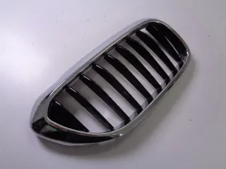 7390866 Решетка радиатора BMW 5 G30/G31 Арт e9764734, вид 1