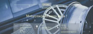 51137336478 Решетка радиатора BMW 5 F10/F11/GT F07 Арт e9795975, вид 8