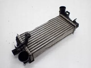  Интеркулер Ford C-max 2 restailing Арт e10072845, вид 2