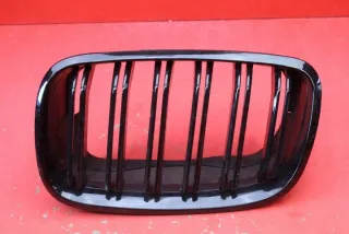 7171395 Решетка радиатора BMW X5 E70 Арт e10505723, вид 1