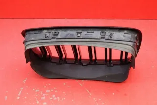 7171395 Решетка радиатора BMW X5 E70 Арт e10505723, вид 3
