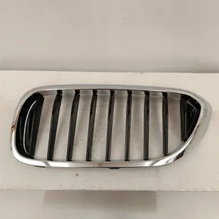 7390863 Решетка радиатора BMW 5 G30/G31 Арт e10570627, вид 1