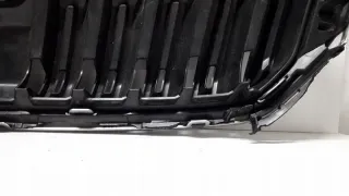 00000d7 Решетка радиатора Skoda Kodiaq Арт e10576356, вид 9