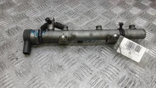 059130090AG Топливная рампа дизельная Audi Q7 4L Арт 1OK01BB01, вид 1