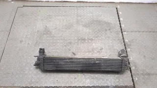 144610001N,H9467002 Интеркулер Renault Laguna 3 Арт 20387091, вид 4