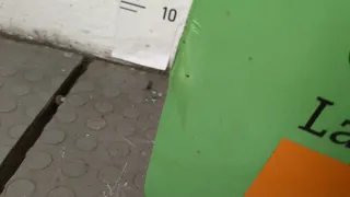 51852775 Крышка багажника (дверь 3-5) Fiat Punto 3 Арт 20387189, вид 5