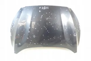 2018-2021 Капот Ford Focus 4 Арт e10600609, вид 1