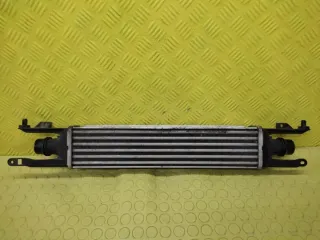 440926702 Интеркулер Opel Corsa D Арт e12687241, вид 1