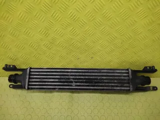 440926702 Интеркулер Opel Corsa D Арт e12687241, вид 2