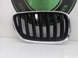 51137124816 Решетка радиатора BMW X5 E53 Арт e12673706, вид 1