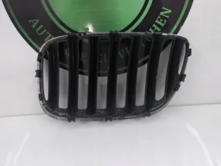 51137124816 Решетка радиатора BMW X5 E53 Арт e12673706, вид 2