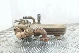 3210275 25053710 Радиатор EGR Volkswagen Golf 5 Арт e12660267, вид 5