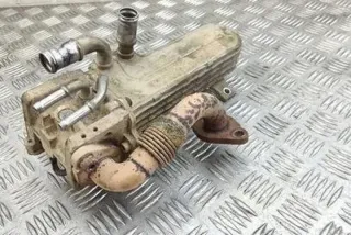 3210275 25053710 Радиатор EGR Volkswagen Golf 5 Арт e12660267, вид 6