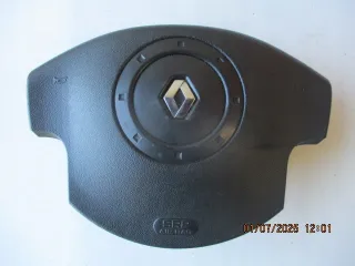 8200310291B Подушка безопасности Renault Scenic 2 Арт e12648232, вид 1