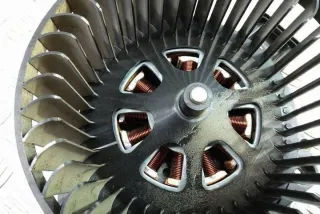 DRF10238001 31015156 Отопитель в сборе (печка) BMW X3 G01 Арт e12646983, вид 7