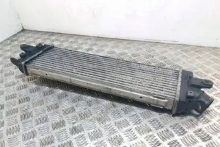 8200411160 Интеркулер Renault Trafic 2 Арт e12640152, вид 1