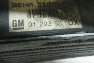 F48_, 9129353 Интеркулер Opel Astra G Арт e12640063, вид 1