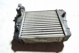 0281002401 Интеркулер Audi A4 B7 Арт e12639573, вид 3