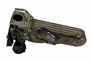038131513AD Радиатор EGR Seat Altea Арт e12638779, вид 1