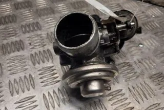 038131501A Клапан EGR Volkswagen Golf 5 Арт e12614220, вид 1