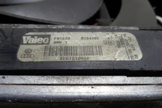 8E0121205P Вентилятор радиатора Audi A4 B6 Арт e12606319, вид 1