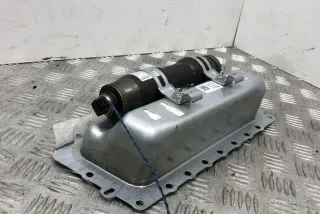 39923039902 Подушка безопасности BMW 5 F10/F11/GT F07 Арт e12603602, вид 1