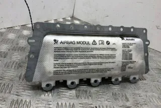 39923039902 Подушка безопасности BMW 5 F10/F11/GT F07 Арт e12603602, вид 4