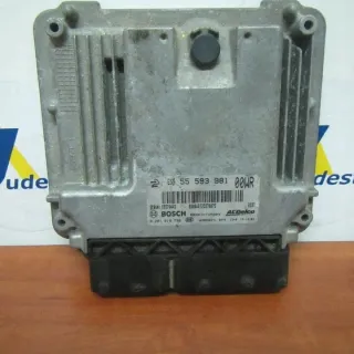 55593981 Блок управления двигателем Opel Corsa D Арт e12589794, вид 1