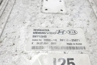 3911025071 Блок управления двигателем Hyundai Sonata (NF) Арт e12588820, вид 1