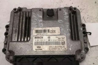 0281014011 Блок управления двигателем Hyundai Santa FE 2 (CM) Арт e12588810, вид 3