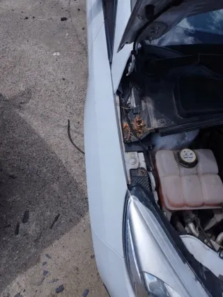  Крыло переднее правое Ford Focus 3 restailing Арт e12585858, вид 2
