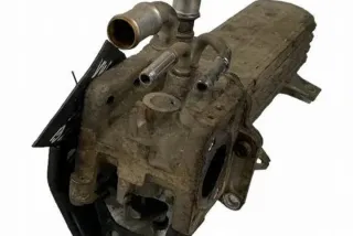 038131513AD Радиатор EGR Volkswagen Golf 4 Арт e12583222, вид 2
