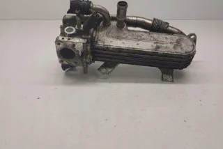 038131513D Радиатор EGR Volkswagen Golf 5 Арт e12583171, вид 2